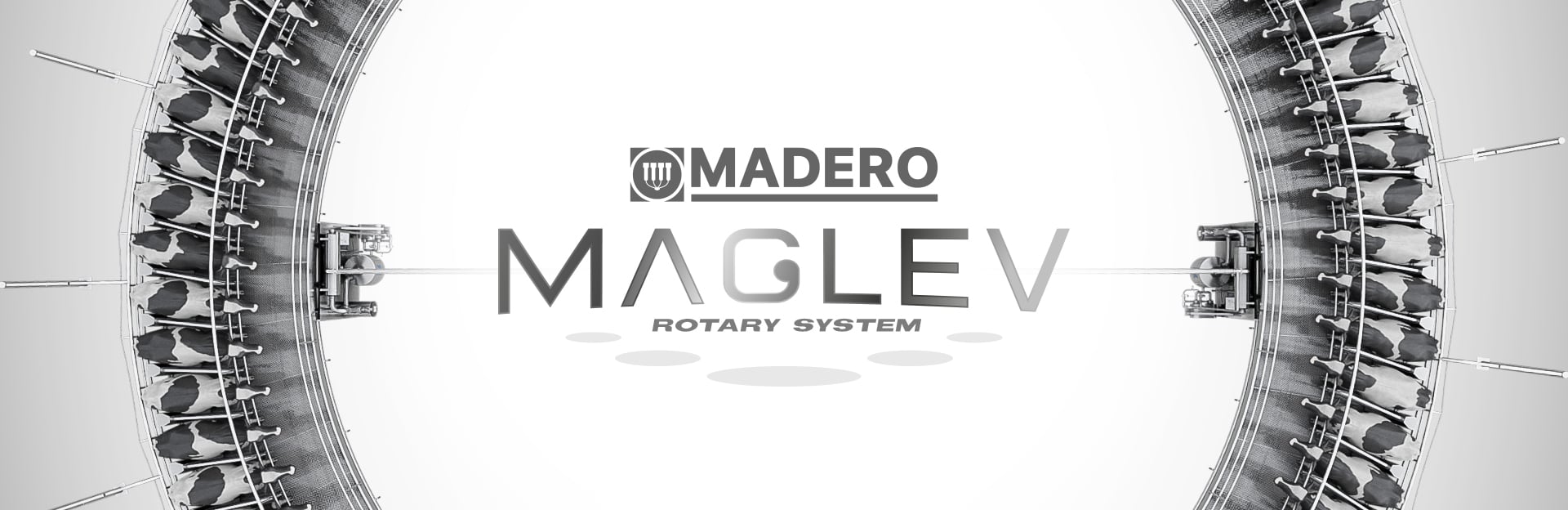 Banner Mailing_ MagLev copia